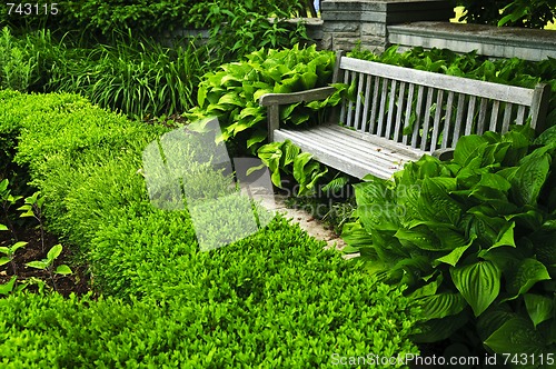 Image of Lush green garden