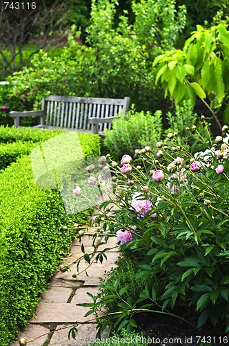 Image of Lush green garden