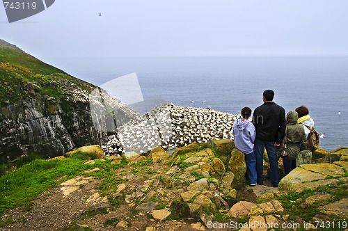 Image of Family visiting Cape St. Mary's Ecological Bird Sanctuary in Newfoundland