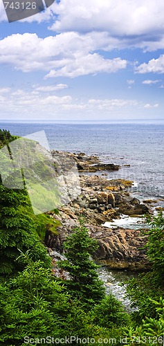 Image of Atlantic coast in Newfoundland