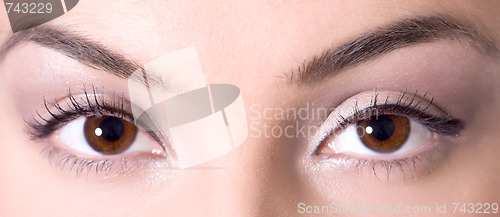 Image of Beautiful brown eyes