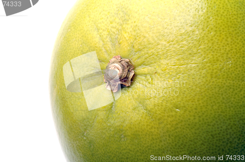 Image of pummelo stem