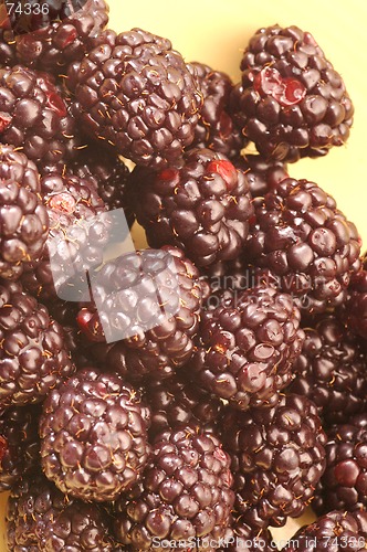 Image of blackberries 1