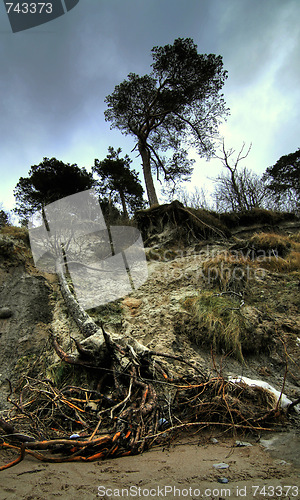 Image of Baltic coast after storm