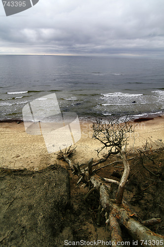 Image of Baltic coast after storm