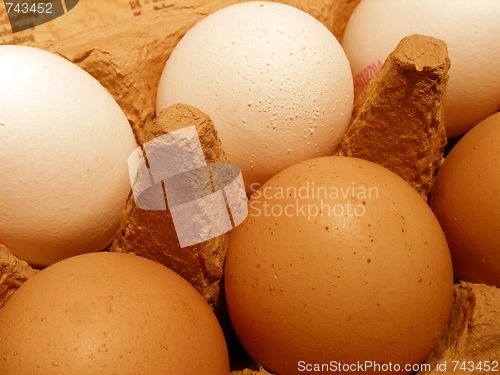 Image of eggs