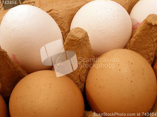 Image of eggs