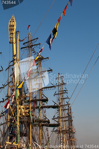 Image of Masts of Tall ships in port