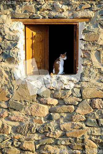 Image of Cat at wood window in stone house