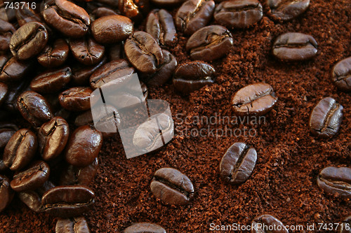 Image of Fragrant fried coffee beans 