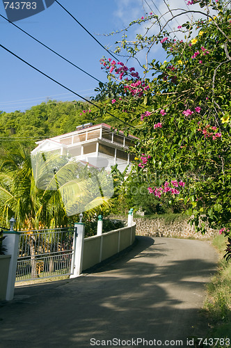 Image of luxury house on road with flowers bequia