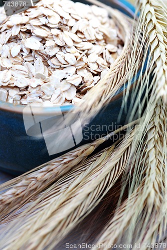 Image of bowl of oats