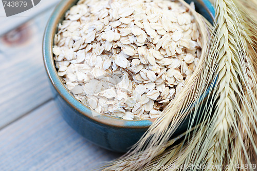 Image of bowl of oats