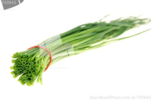 Image of Fresh green chive 