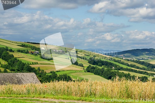 Image of Rural landscape