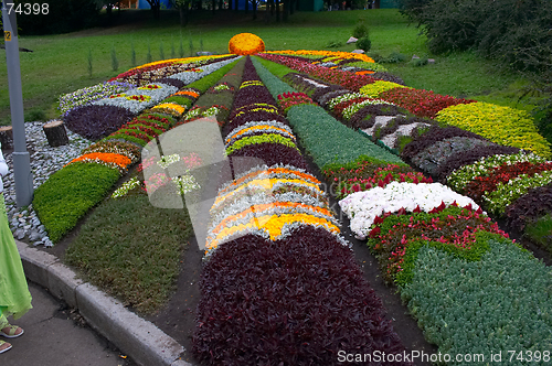 Image of Decorative artistic flower-bed