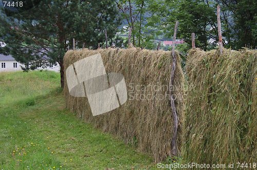 Image of Hay-drying rack 16.07.2005