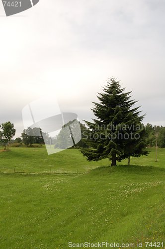 Image of Norwegian landscape 17.07.2005