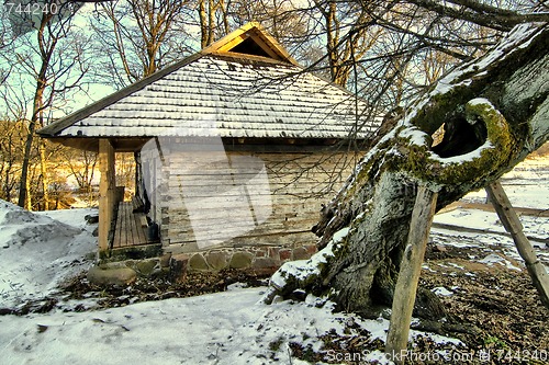 Image of Fragment of the old barn at sunset by the old linden