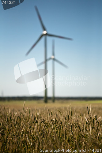 Image of windfarm in green fields