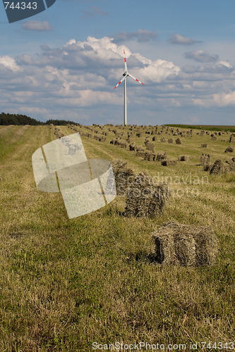 Image of windfarm in green fields