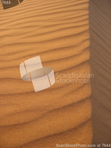 Image of Sand ridge