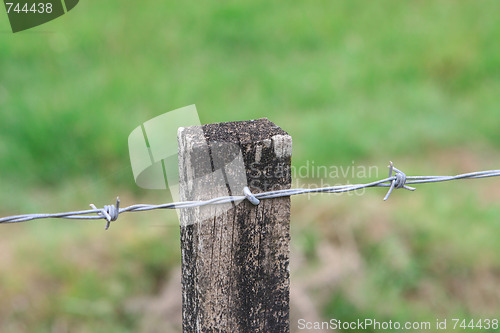 Image of Fence post.