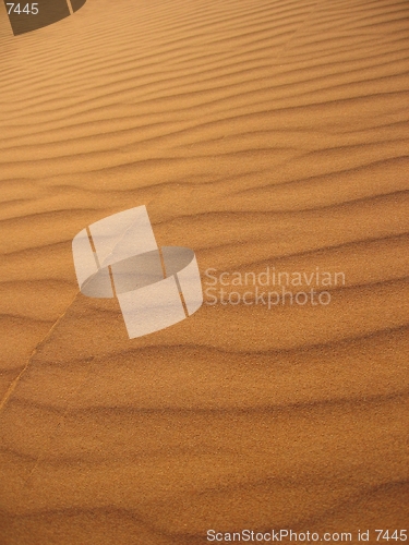 Image of Sand dunes