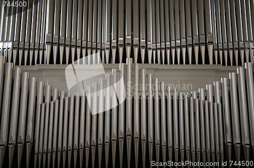 Image of Organ