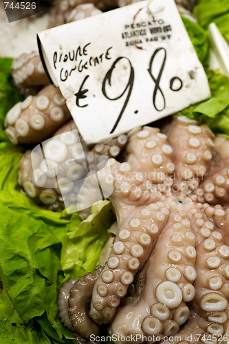 Image of Rialto Fish Market