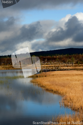Image of reflections in lake