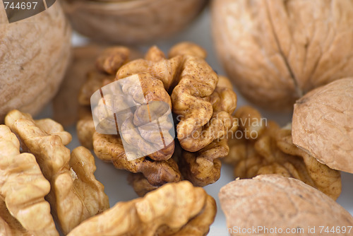 Image of Walnut