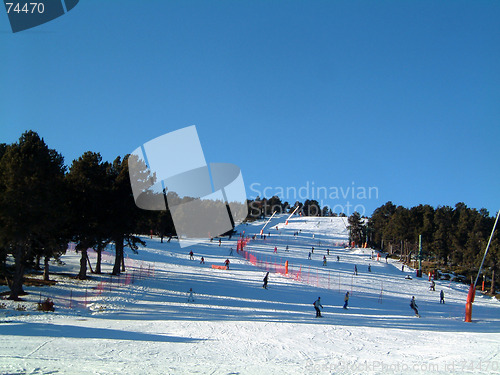 Image of Green ski run