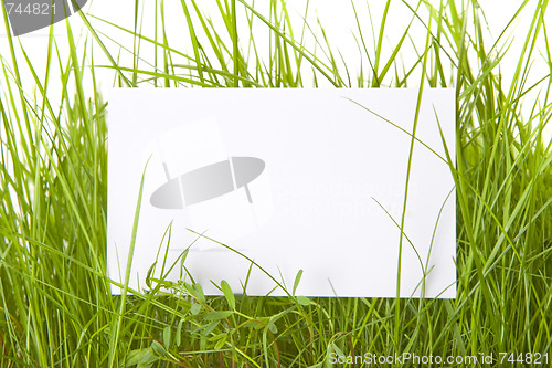 Image of White Sign Amongst Grass 