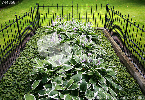 Image of Old grave