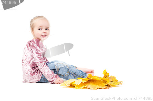 Image of Toddler with maple leaves