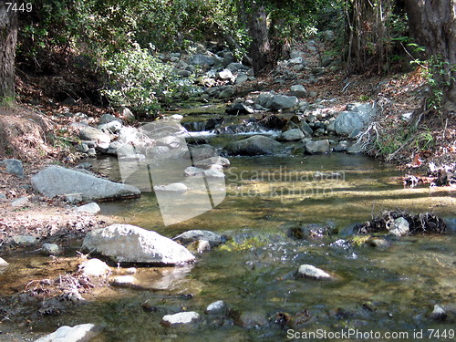 Image of Peaceful stream. Platres. Cyprus