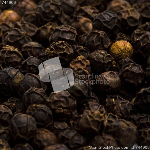 Image of black pepper