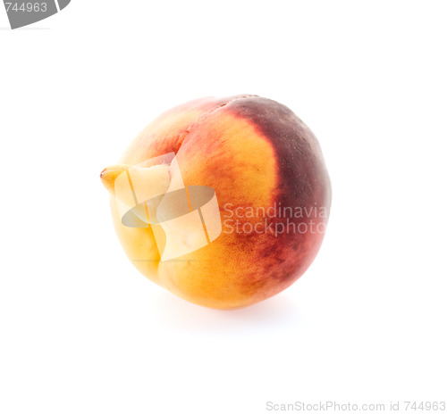 Image of Peach male