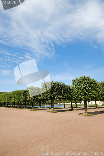 Image of Decorated trees at Peterhof