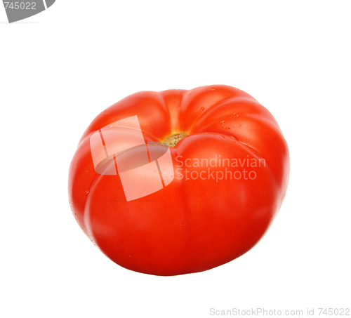 Image of tomato