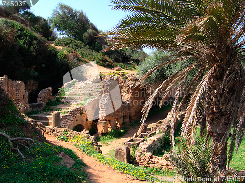 Image of archeological roman site Tipasa