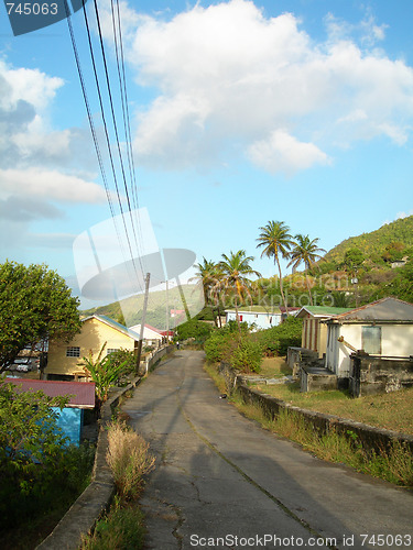 Image of typical street scene bequia native house on road with coconut tr
