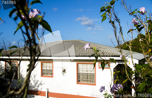 Image of native style caribbean house with spectacular view of island of 