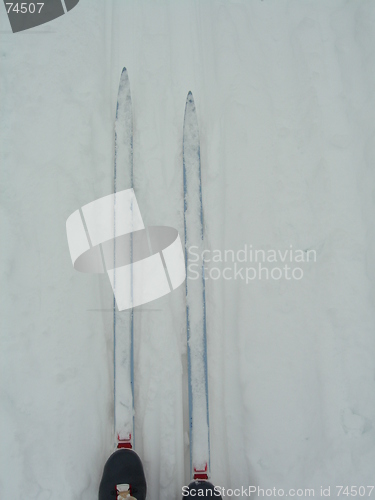 Image of Ski