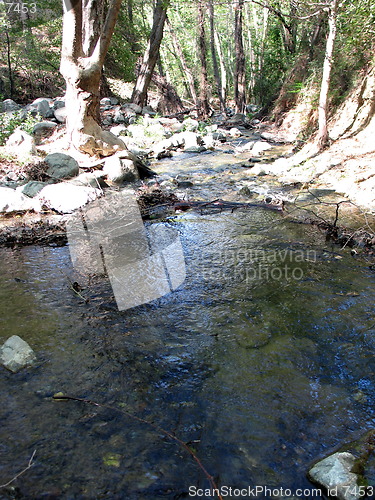 Image of River waters. Platres. Cyprus