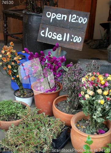 Image of Flower shop
