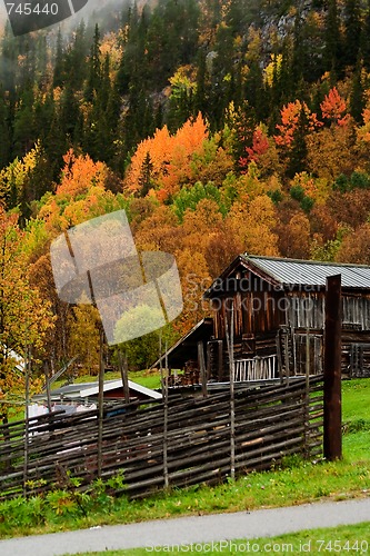 Image of fall in the mountains