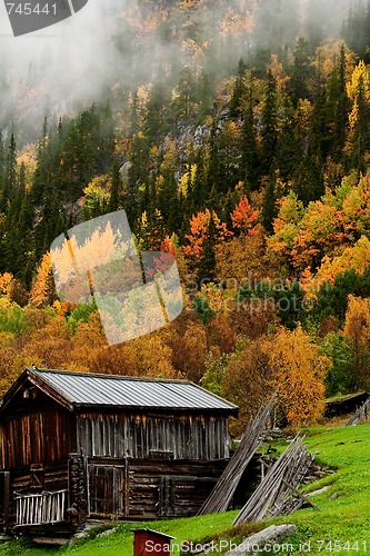 Image of fall in the mountains