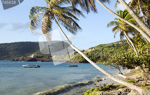 Image of crescent beach in industry bequia st. vincent and the grendadine